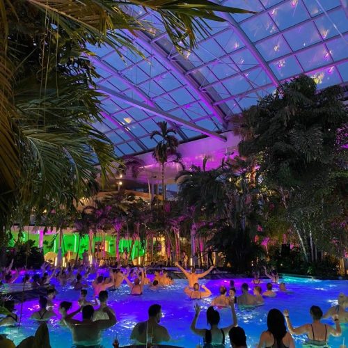 2f4b44625a211693d506ded82e95d8f2