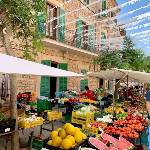 303ae4e51a6a1011df3be85b3d6fa939