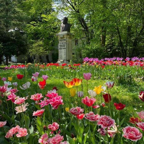 4be88d045b47bb65edc2e851536516af