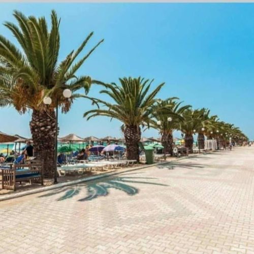 519925737_2460403474341201_3882440327887973243_n