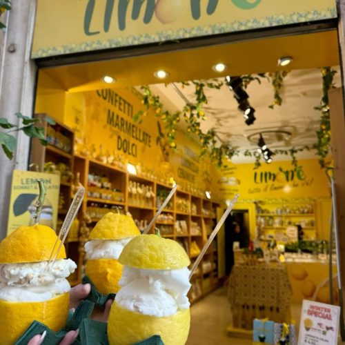 5e00946e787a681b0cf559419b408590