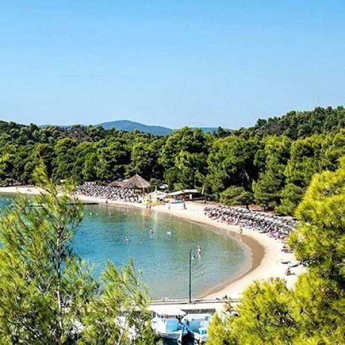 71938ce5558a42a0f7434e54362e7ca7