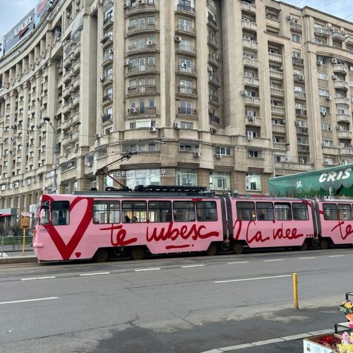 cbc79cdbe2594eb1dc1aa62075274116