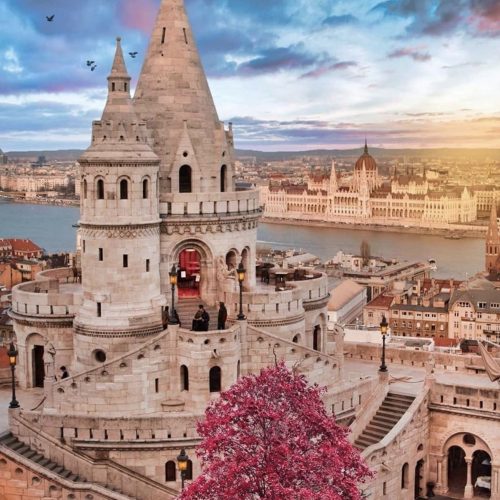 d69328b3b80ba1fdb470946028a64662