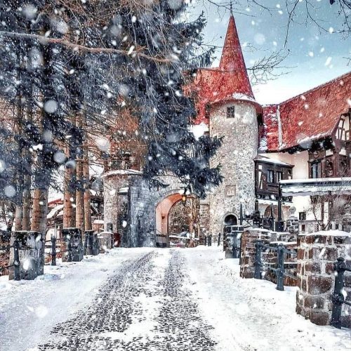 fea1daab9564363dd79c6324d723dfb6