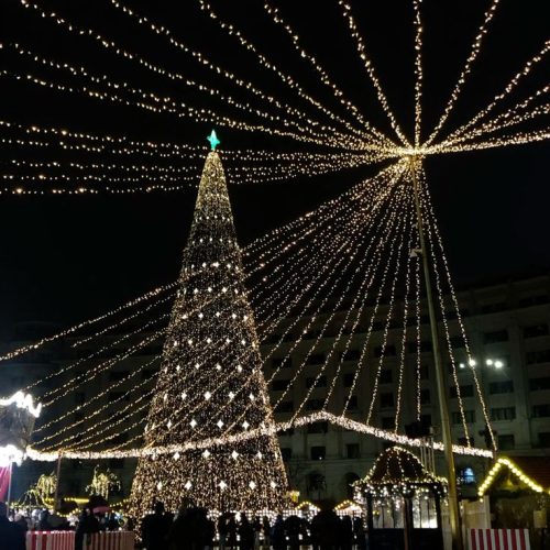 ff10327aaccb7fa3acea517c61836356