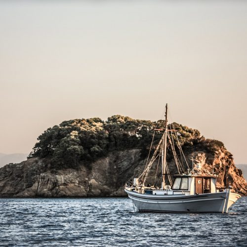 nick-karvounis-gtVBdMWamlM-unsplash