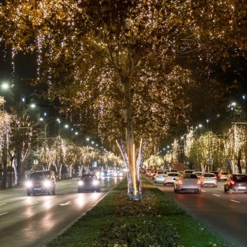 streetscape-city-night-cars-moving-road-lot-christmas-illumination-bucharest-romania