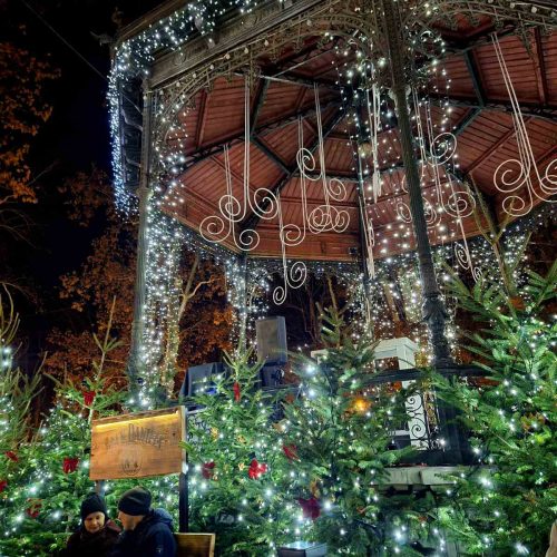 viber_image_2025-09-29_17-43-01-707