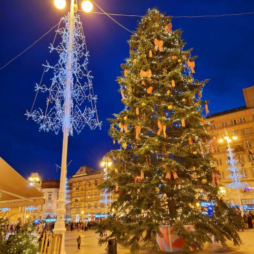 viber_image_2025-09-29_17-43-06-009