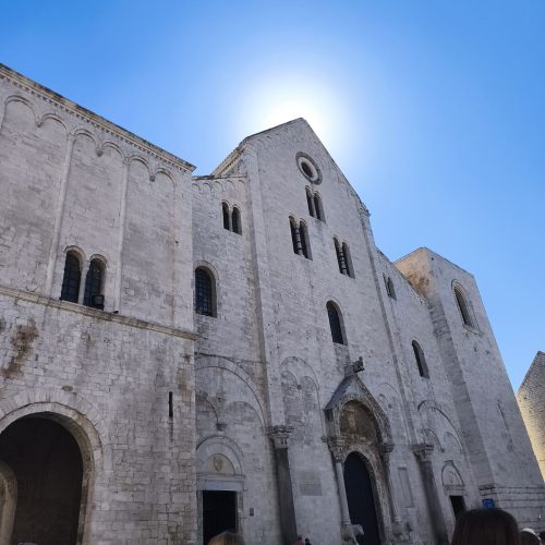 viber_image_2025-11-12_14-18-29-768