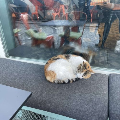 viber_image_2026-02-06_14-58-59-053