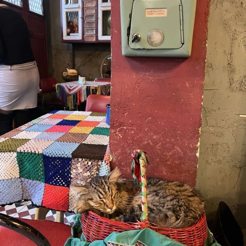 viber_image_2026-02-06_15-01-05-923