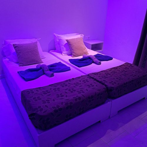 viber_image_2026-02-24_15-14-59-646